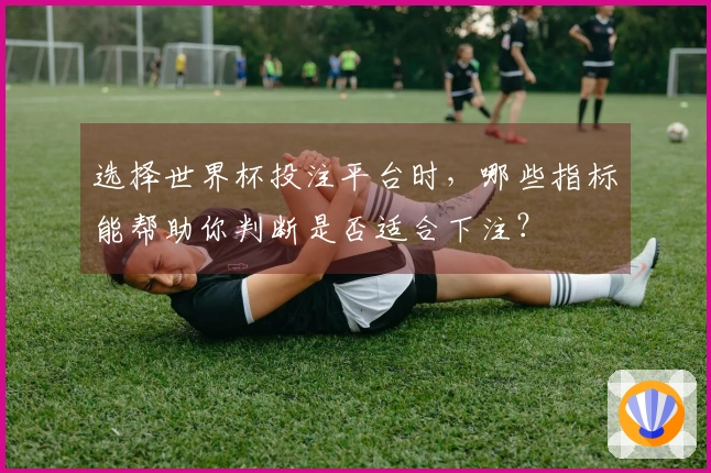 选择世界杯投注平台时，哪些指标能帮助你判断是否适合下注？
