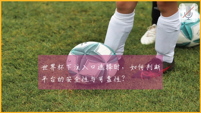 世界杯下注入口选择时,如何判断平台的安全性与可靠性?