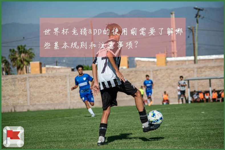 世界杯竞猜app的使用前需要了解哪些基本规则和注意事项？