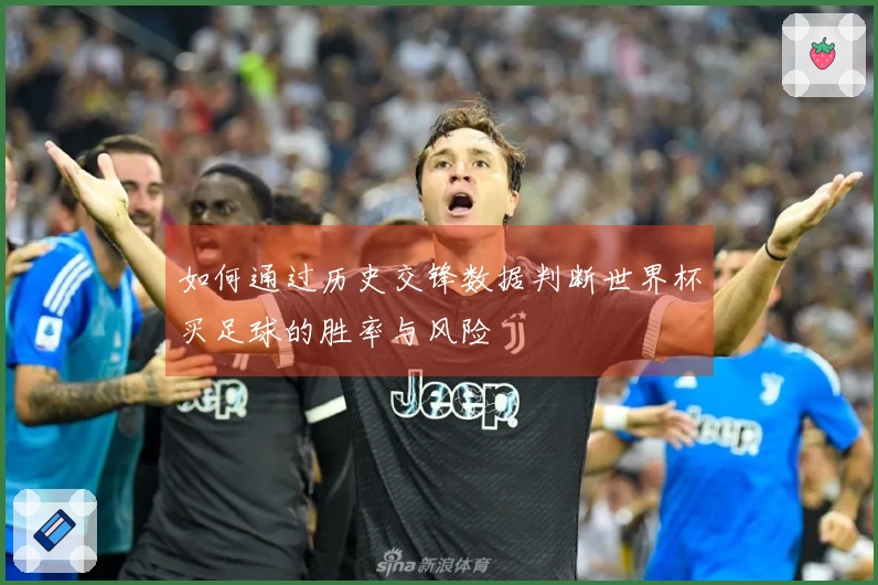 如何通过历史交锋数据判断世界杯买足球的胜率与风险