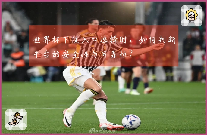 世界杯下注入口选择时，如何判断平台的安全性与可靠性？