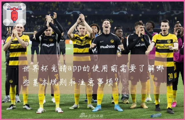 世界杯竞猜app的使用前需要了解哪些基本规则和注意事项？